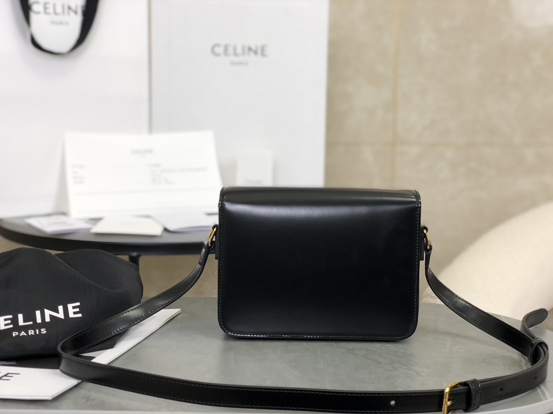 Celine Triomphe Bags